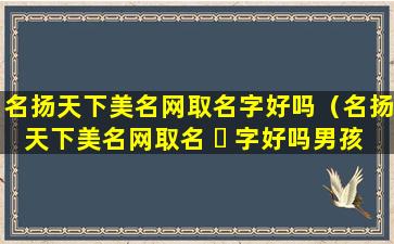 名扬天下美名网取名字好吗（名扬天下美名网取名 ☘ 字好吗男孩）